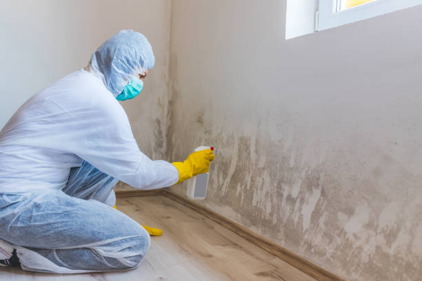 Crawl Space Mold Remediation treatment of floor joists in Aberdeen
