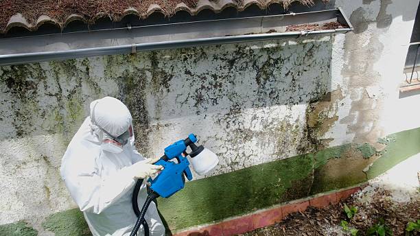 Mold Remediation service in Aberdeen, Aberdeen, MD
